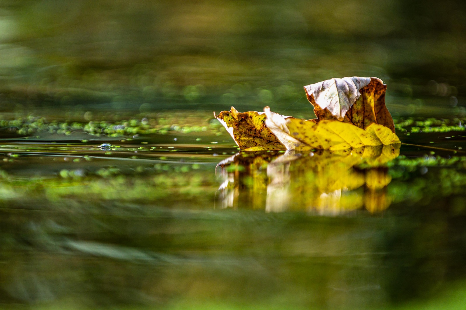 Platz 3 Christian Reichert